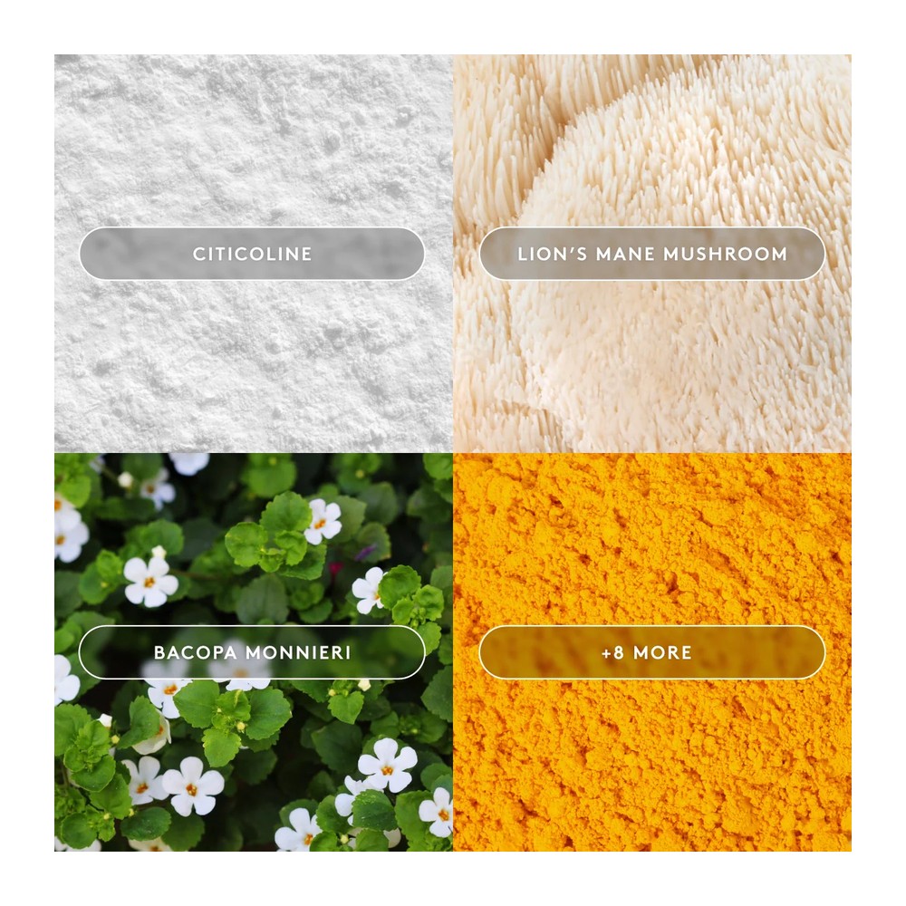 Mind Lab Pro